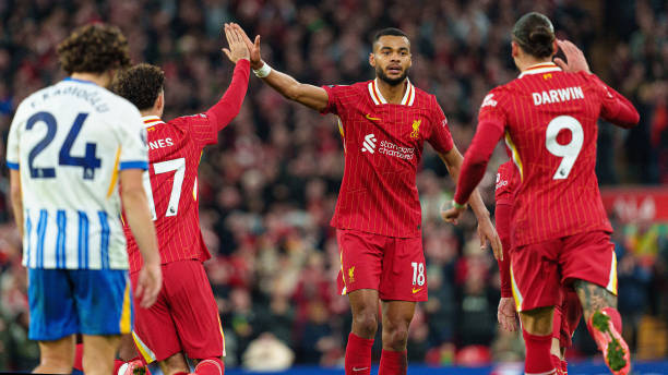 仅在比赛最 仅在比赛最