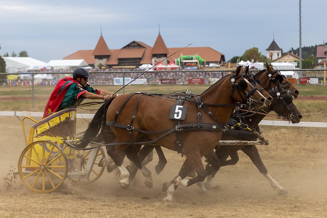 记录来看 记录来看